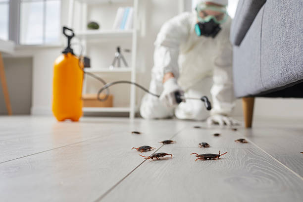 Commercial Kitchen Cockroach Control in Silvis